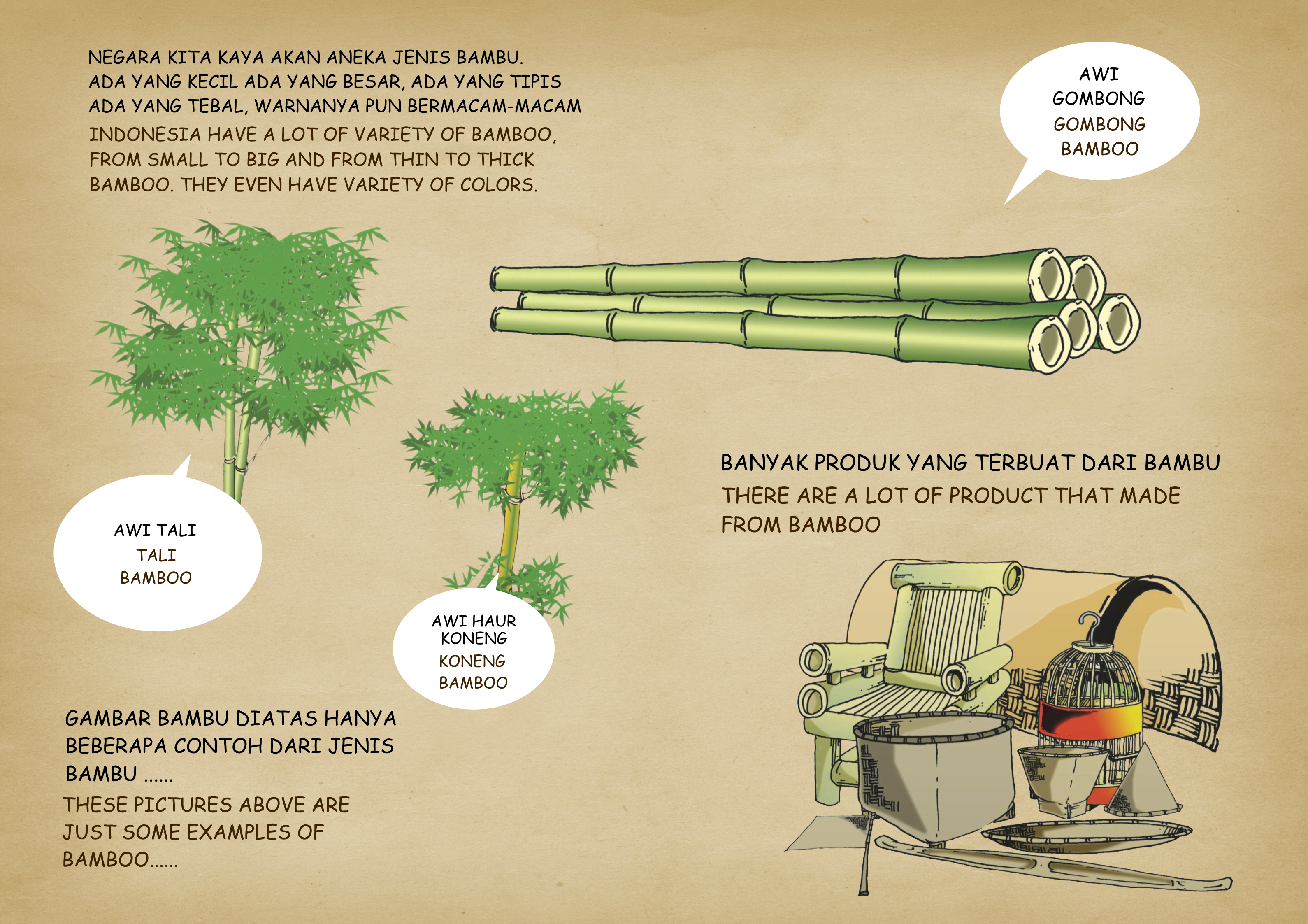 Bamboo Selection